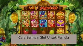 Tutorial Game Slot Pemula Dari Awal